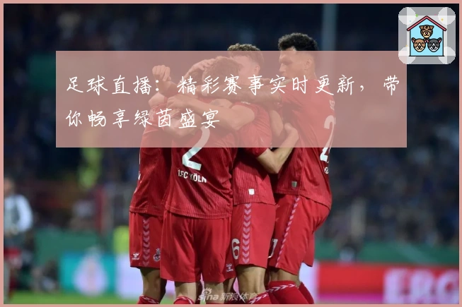 足球直播：精彩赛事实时更新，带你畅享绿茵盛宴